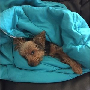 Meet your Posher, Isabelle